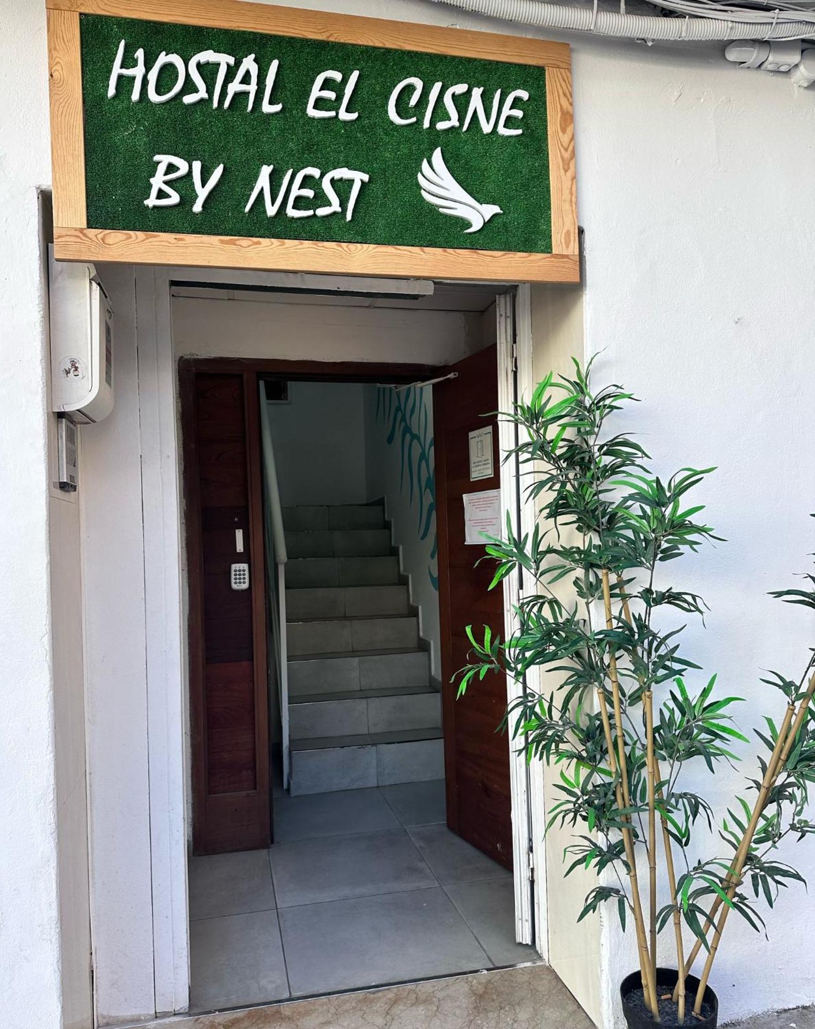 Cisne By Nest Hostel San Antonio  Kültér fotó